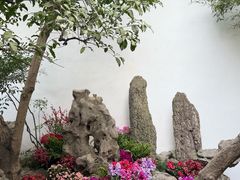 -松鹤楼(山塘街店)
