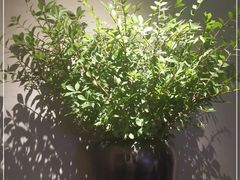 -山里亲戚(淞虹路店)