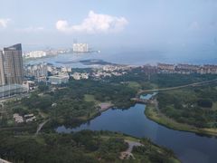 -唐阁海景中餐厅·早茶·粤菜•生日聚餐(海口朗廷酒店)