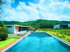 -东钱湖旅游度假区