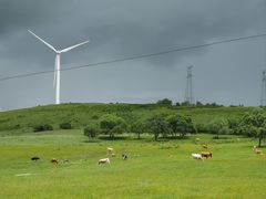 -塞罕坝国家级自然保护区