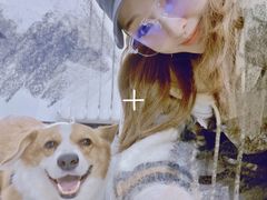-多乐狗狗宠物训练工作室