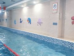 -小蓝鲸游泳培训基地(积水潭店)