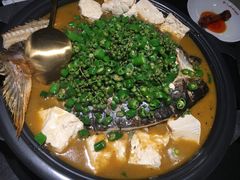 鲜青椒味凌波鱼-探鱼·鲜青椒爽麻烤鱼(领展购物广场店)