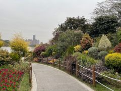 -顺峰山公园