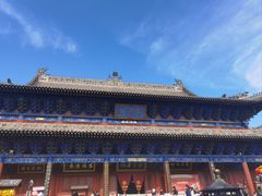 -大槐树寻根祭祖园