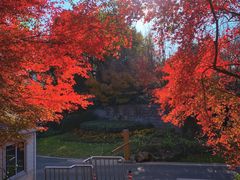 -宝界山林公园