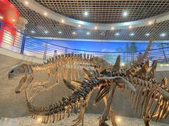 -国家自然博物馆