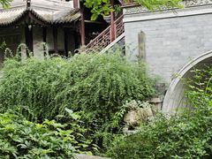 -龙潭水乡