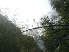 -藏龙百瀑风景区