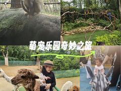 -杭州野生动物世界
