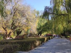 -青城公园