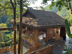 -西双版纳原始森林公园
