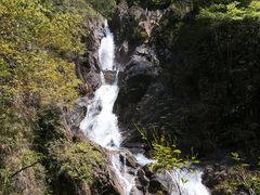 -九龙江国家森林公园