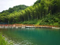 -龙坞茶村
