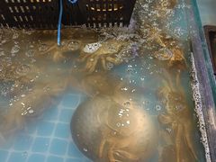 -阳光岛·海鲜盛宴(银泰中心in99店)