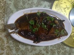 红烧鲤鱼-养顺农家院
