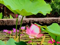-广州莲花山旅游区