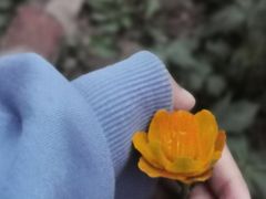 -香山公园