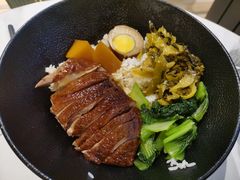 -MR鹅外