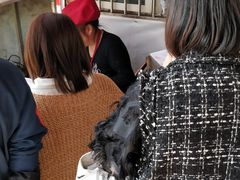 -半月镰胡姐脆皮萝卜饺子