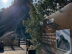 -冠豸山景区