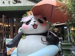 -轩客会(熊猫书店)