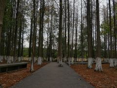 -艾溪湖湿地公园