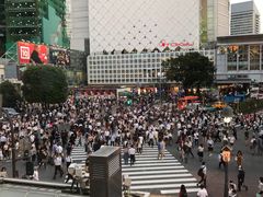 -涩谷区