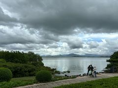 -深圳湾公园(南山区)