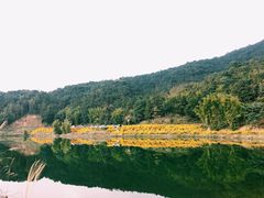 -广州市石门国家森林公园