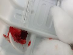 -上海市杨浦区牙病防治所