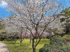 -黄公望隐居地