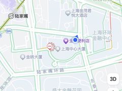 -上海中心大厦