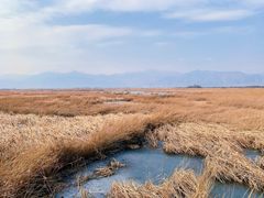 -野鸭湖国家湿地公园