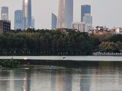-海珠湖公园
