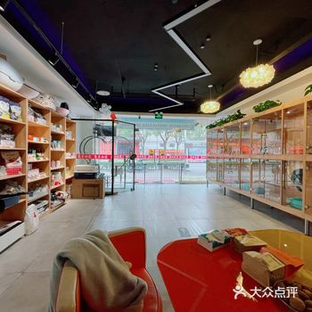 过年前赶紧带毛孩子洗香香