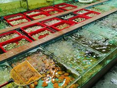 -景好海鲜餐厅(大鹏必选旅游店)