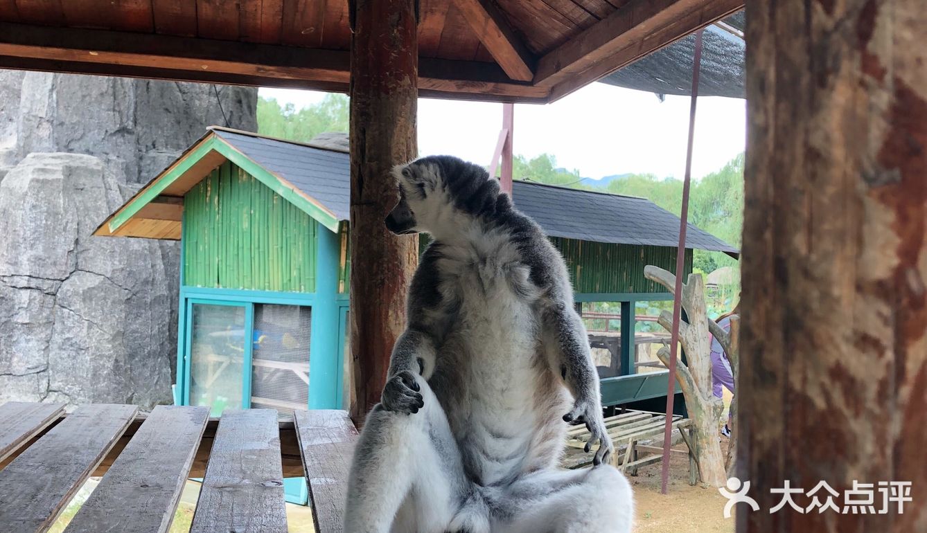 杭州旅游攻略之来杭州与野生动物亲近吧