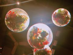 -胡桃里乐队酒馆(长春总店)