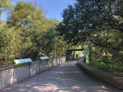 -西湖风景区-江洋畈生态公园
