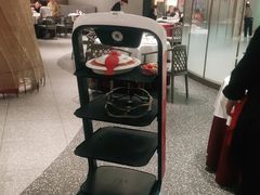 -阿五黄河大鲤鱼(海尚店)