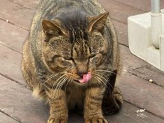 -东钱湖小普陀景区