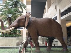 -深圳博物馆历史民俗馆