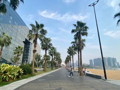 -金沙湖公园