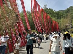 -栾川竹海野生动物园