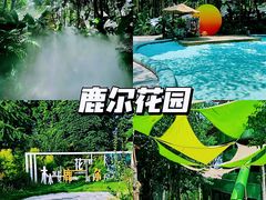 -老鼎万春卤菜(五代传承创始老店)