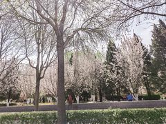 -元大都城垣遗址公园