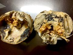 大闸蟹-丫丫蟹庄·苏式园林农家乐·阳澄湖大闸蟹(阳澄湖莲花岛店)