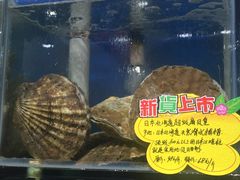 -蚝专家(北滘店)